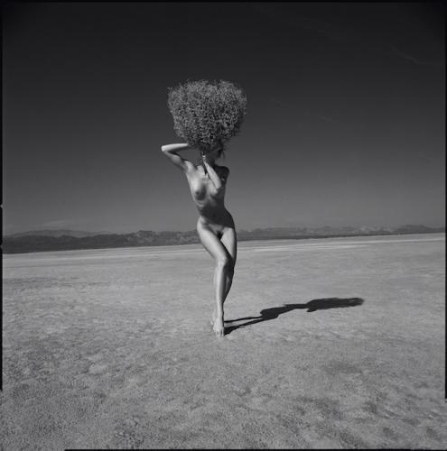 Guido Argentini<p class="titolo-immagine">EL MIRAGE THUMBLEWEED#2013</p>