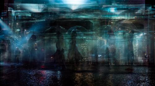 Riccardo Magherini<p class="titolo-immagine"> ELECTRIC SHEEP 2013</p>