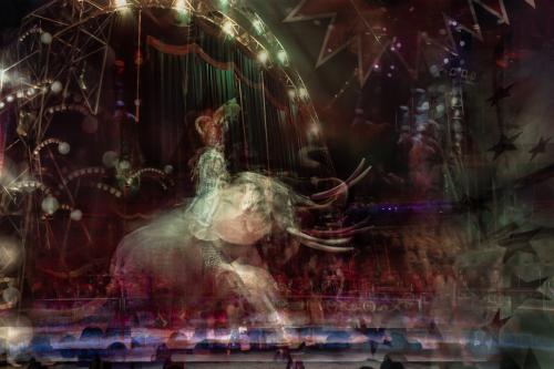 Riccardo Magherini<p class="titolo-immagine"> Orfei #03, 2014</p>